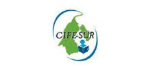 Logo CIFE Logo CIFE