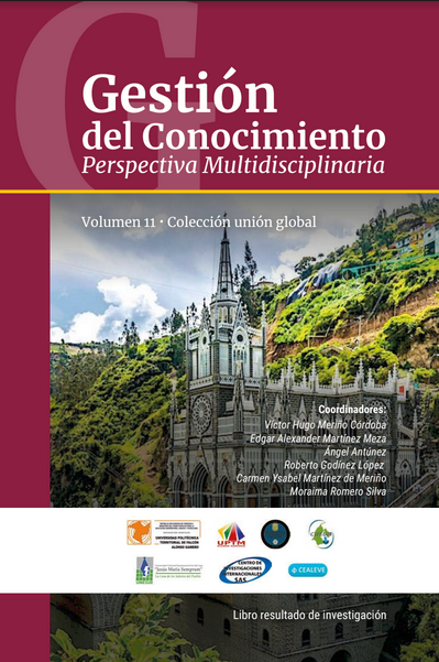 Gestión del Conocimiento Perspectiva Multidisciplinaria (Libro 11)