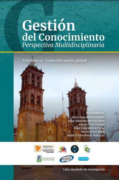 Gestión del Conocimiento Perspectiva Multidisciplinaria (Libro 14)