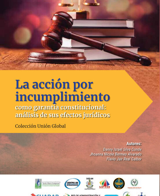 La acción por incumplimiento como garantía constitucional: análisis de sus efectos jurídicos
